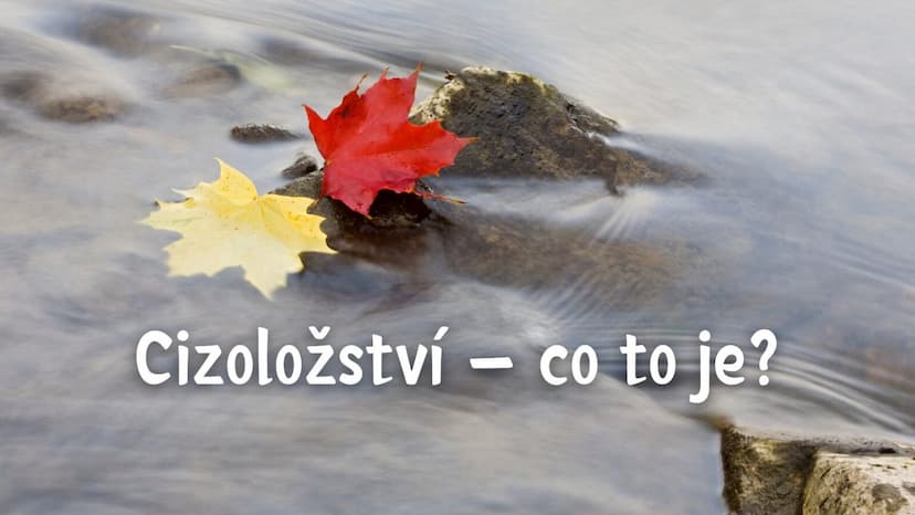 Cizoložství – co to je?