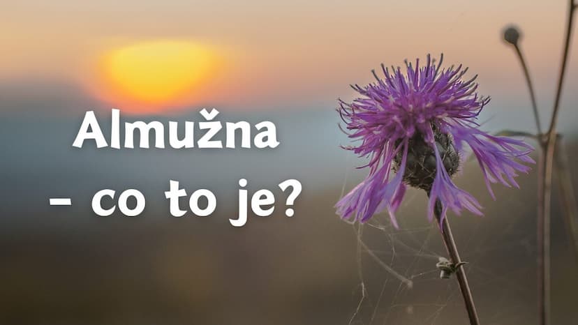 Almužna – co to je?