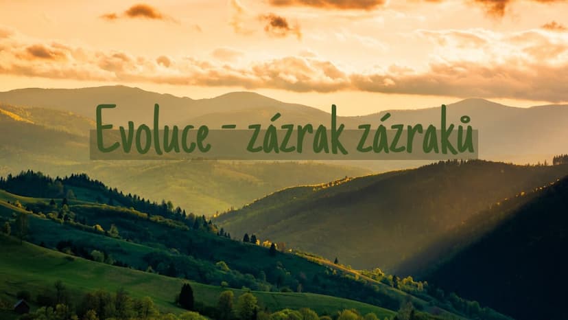 Evoluce – zázrak zázraků